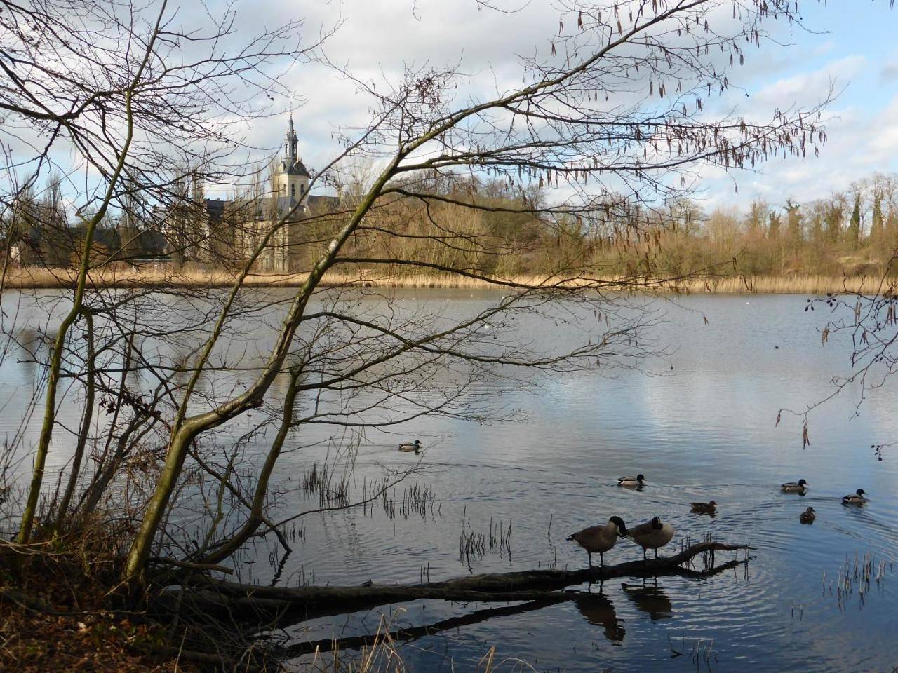 Studio's Park - Heverlee in Heverlee, Leuven