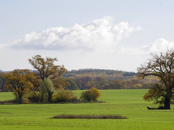 Ganze Ferienwohnung, Unterm Dach - Ferienwohnung Unterm Dach in Schwinkendorf, Moltzow