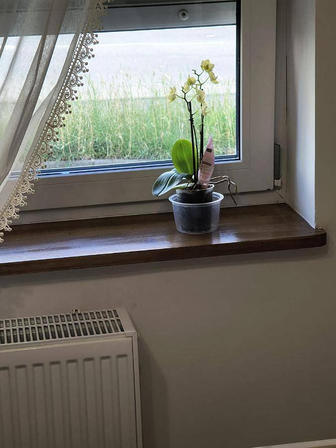 Cały apartament, Apartamenty Stara Cegła in Zgorzelec, Dolny Śląsk