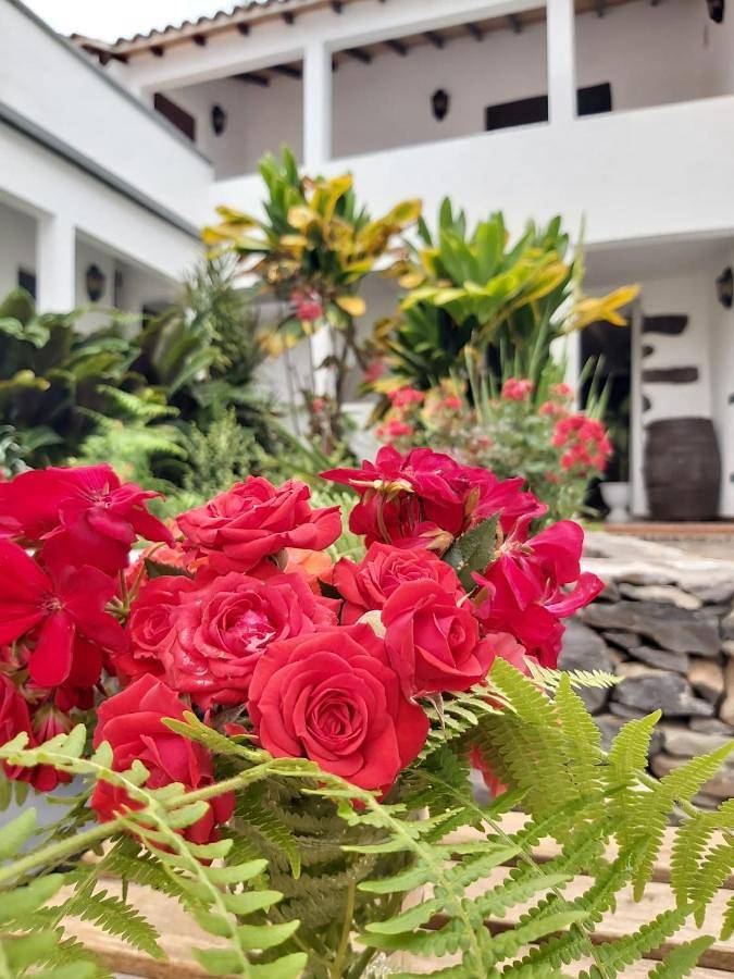 Location de vacances pour 6 personnes, avec jardin et vue à Agulo - 4