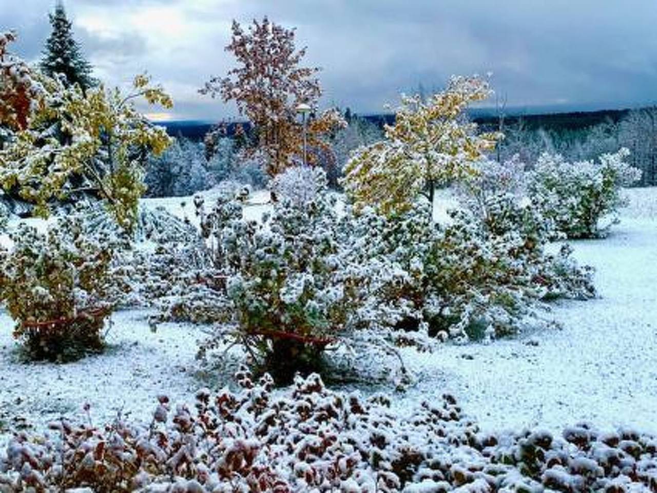 Vaaran loma-asunto in Kainuu