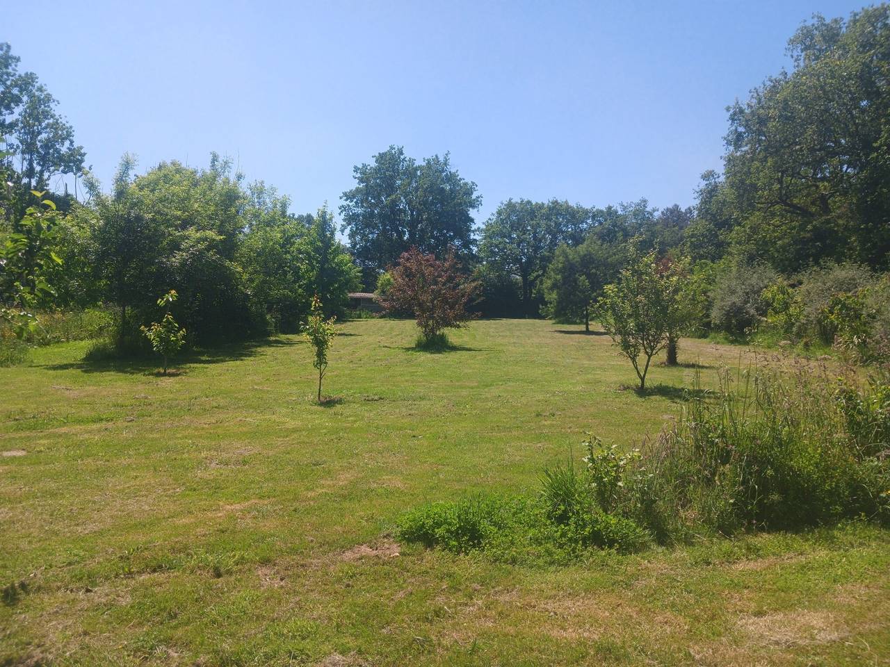 Chambre d’hôtes « Cocon de Verdure » dans le Marais Breton Vendéen à 25 mn de Noirmoutier in Châteauneuf (Vendée), Vendée