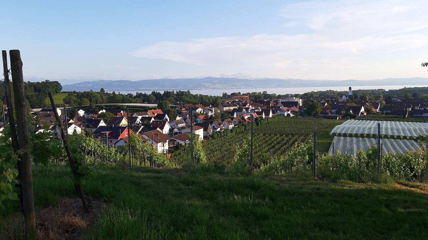 Ganze Ferienwohnung, Ferienwohnungen Hof Schnell - Ferienwohnung 2, 60 qm, 1 Schlafzimmer, max. 4 Pers. in Kressbronn am Bodensee, Region Bodensee-Oberschwaben