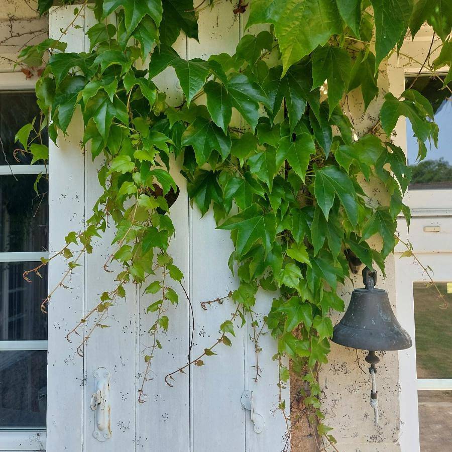 Maison d'hôtes de La Roche Tabary in Bernay-Neuvy-en-Champagne, Sarthe