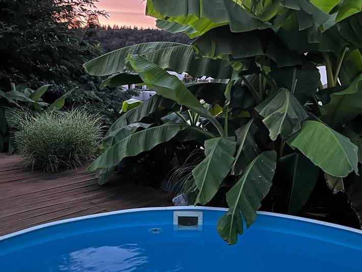 Ferienwohnung für 4 Personen, mit Garten und Sauna sowie Pool und Ausblick in Rheinebene - 3