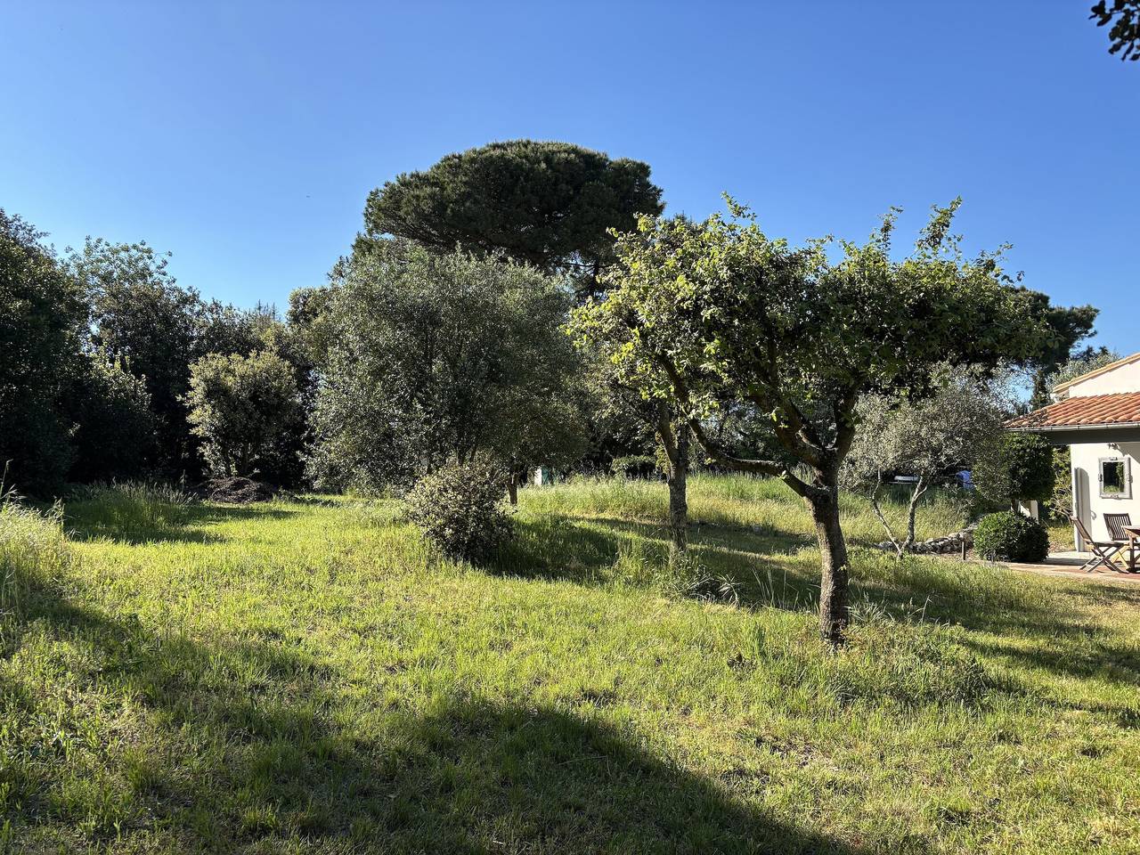 Les Immortelles in Sainte-Marie-de-Ré, Île de Ré