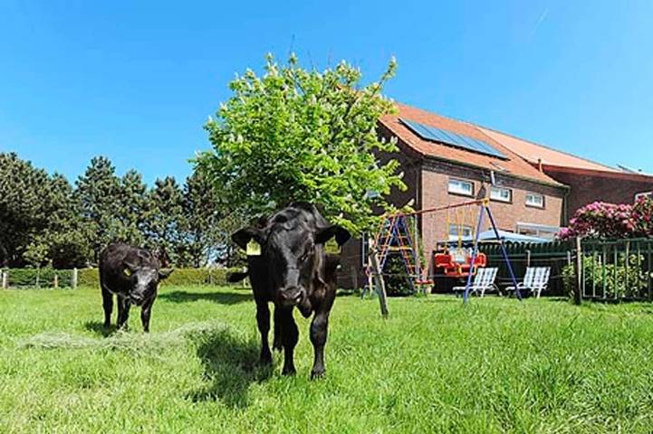Ferienhaus für 4 Personen, mit Terrasse und Garten