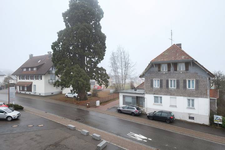 Gîte pour 2 personnes, avec balcon à Ühlingen-Birkendorf - 4