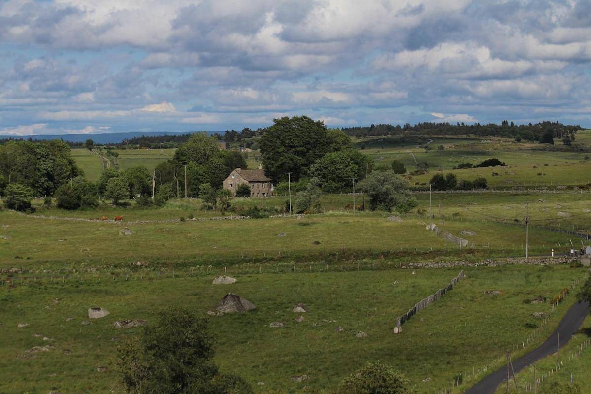 Aubrac de Lozère in Prinsuéjols, Prinsuéjols-Malbouzon