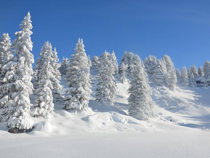 Ferienwohnung für 11 Personen, mit Garten und Terrasse in Schröcken - 4