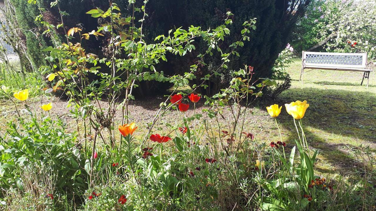 Appartement de vacances entier, Les écureuils bourguignons in Montchanin, Région de Chalon-sur-Saône