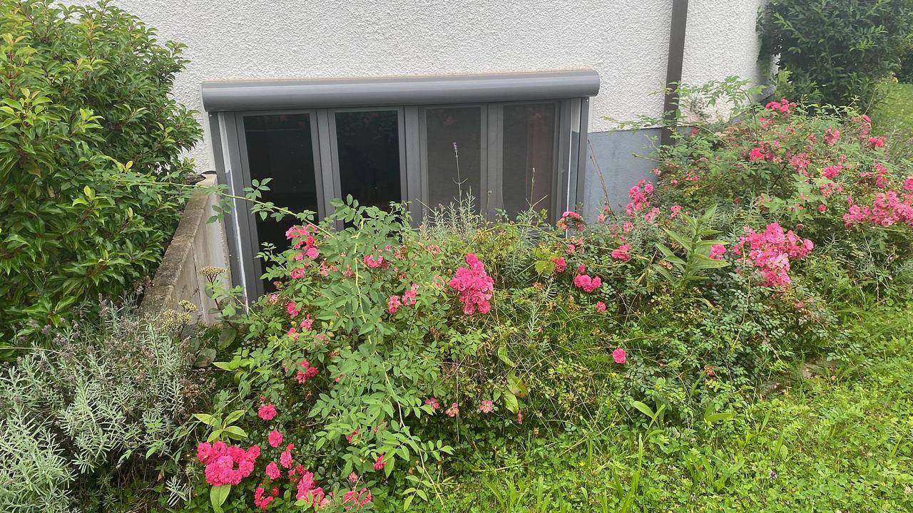 Ganze Ferienwohnung, Ferienwohnung für 3 Personen (58 m²) in Stadt Leonberg in Leonberg, Nordschwarzwald