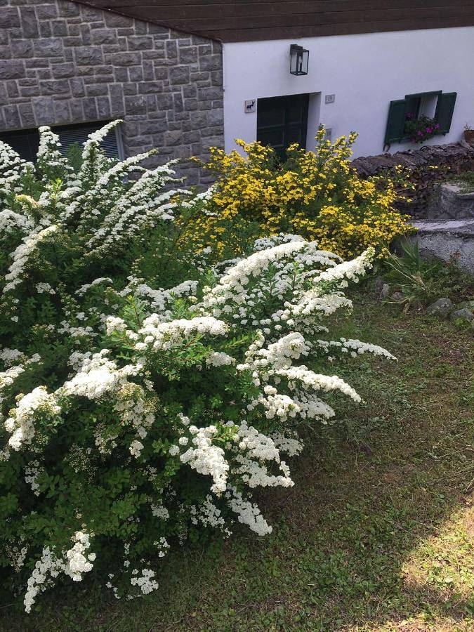 Gîte pour 5 personnes, avec vue et jardin dans Padola - 3