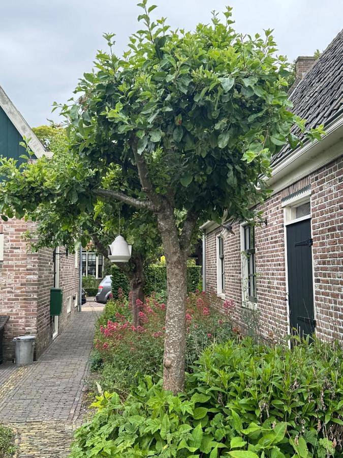 Geheel appartement, Loft in Schagen, Nederlandse Noordzeekust