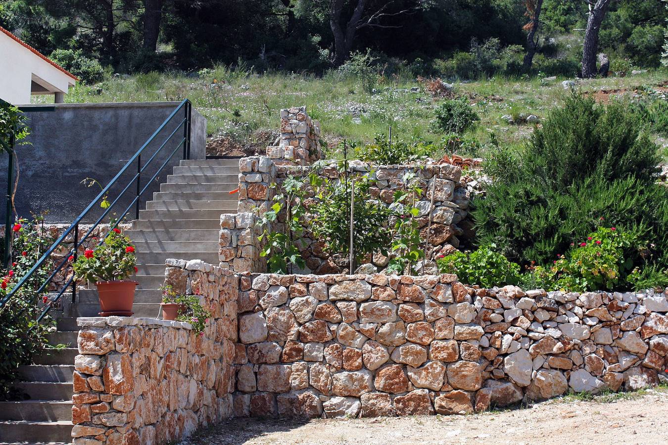 Ganze Wohnung, 1-Zimmer-Ferienwohnung mit Balkon Bucht Saplunara, Mljet A-4923-a in Velika Saplunara, Saplunara