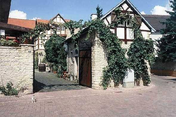 Ferienwohnung für 3 Personen, mit Terrasse und Garten in Rheinhessen