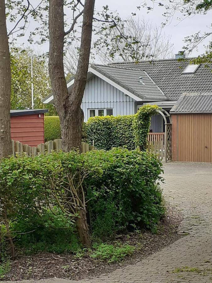 Ferienhaus für 5 Personen, mit Terrasse und Garten in Pellworm - 4