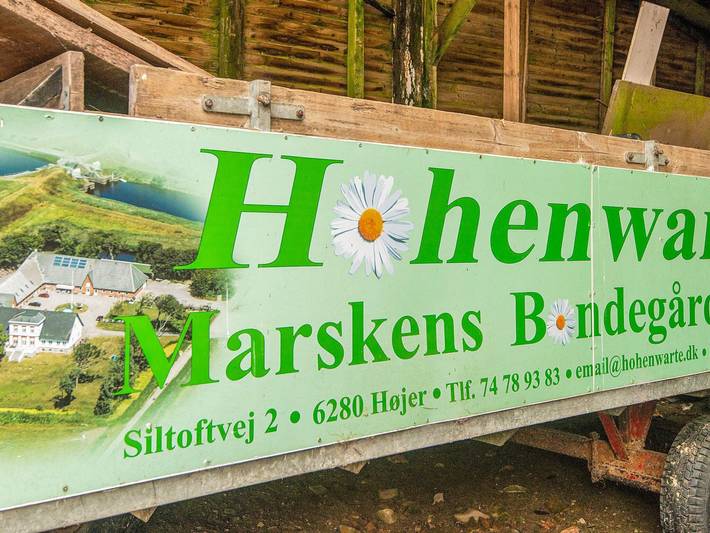 Ferienhaus für 4 Personen in Højer