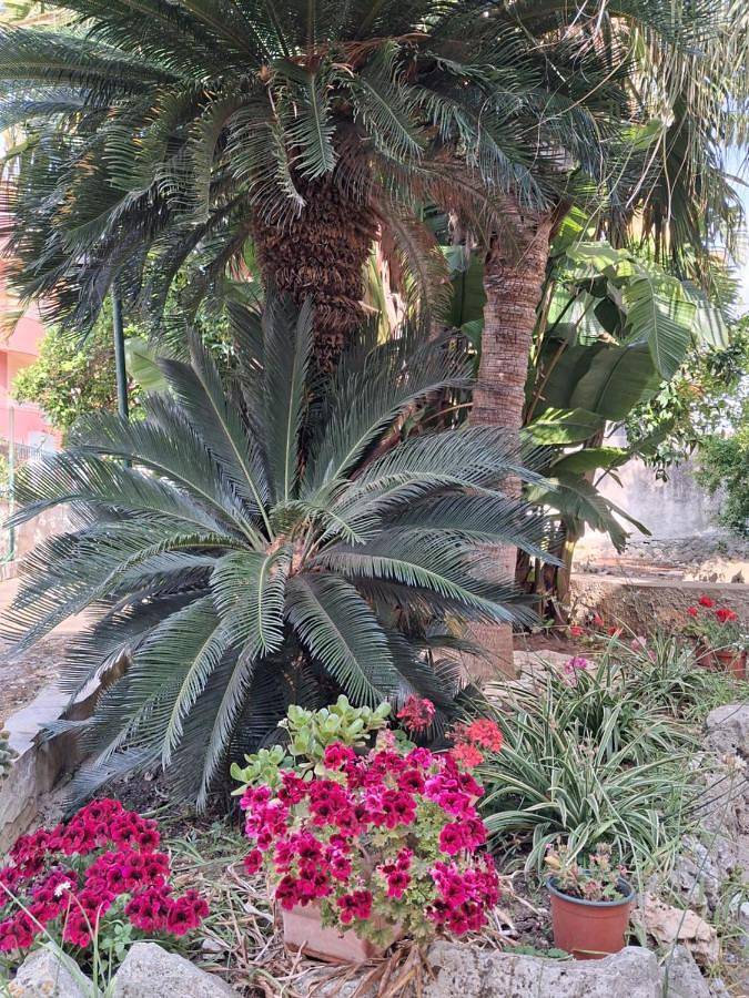 La Rugiada-con giardino e parcheggio moto privato in Alcamo, Provincia di Trapani