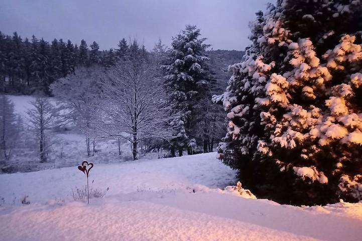 Ferienwohnung für 6 Personen, mit Garten und Terrasse sowie Sauna in Mossautal