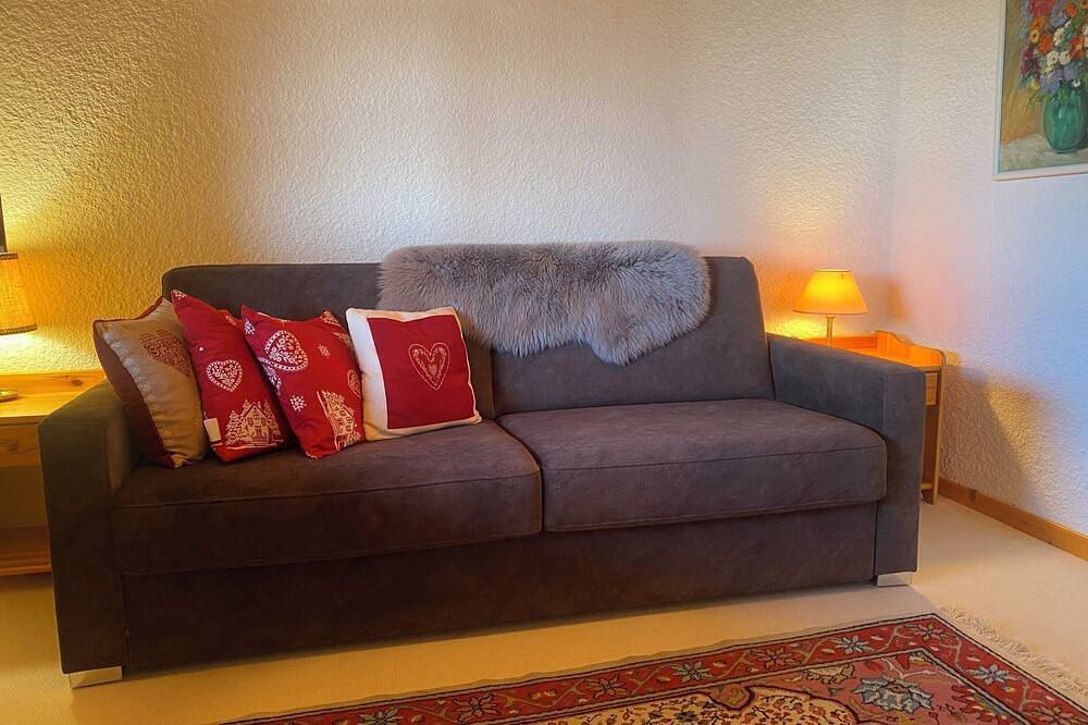 Appartement entier, La résidence Aigle Royal se situe à côté de la télécabine de la Barboleuse qui vous emmène sur le do in Gryon, Alpes Vaudoises