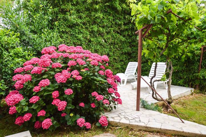 Ferienwohnung für 4 Personen, mit Garten in Pjescana Uvala - 4