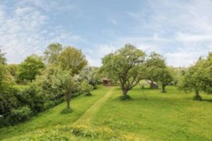 Cosy Lodge completely on your own in an acre of land. and will take 2 dogs in Hayton, Nottinghamshire