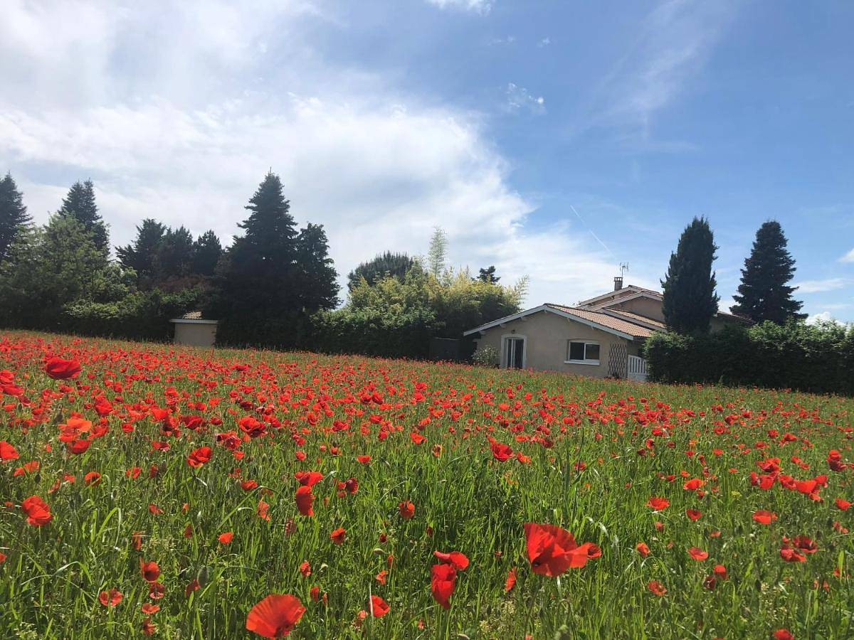 Appartement entier, Le Jacquéron in Saint-Georges-d'Espéranche, Région de Vienne
