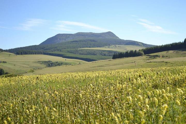 Location de vacances pour 2 personnes, avec sauna ainsi que terrasse et jardin à Fay-sur-Lignon - 2