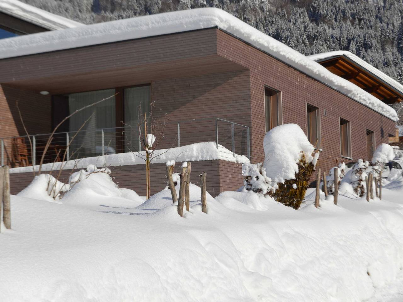 Ganze Ferienwohnung, Haus Christiane in Diedamskopf, Schoppernau