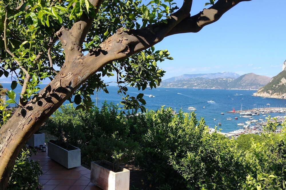 Cozy cottage among lemon trees just minutes from the sea and downtown in Capri, Neapel Provinz