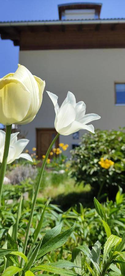 Gîte pour 4 personnes, avec Terrasse et Vue à Laas (Italie)
