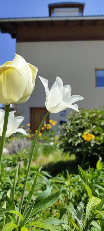 Gîte pour 2 personnes, avec terrasse et vue, animaux acceptés à Laas (Italie)