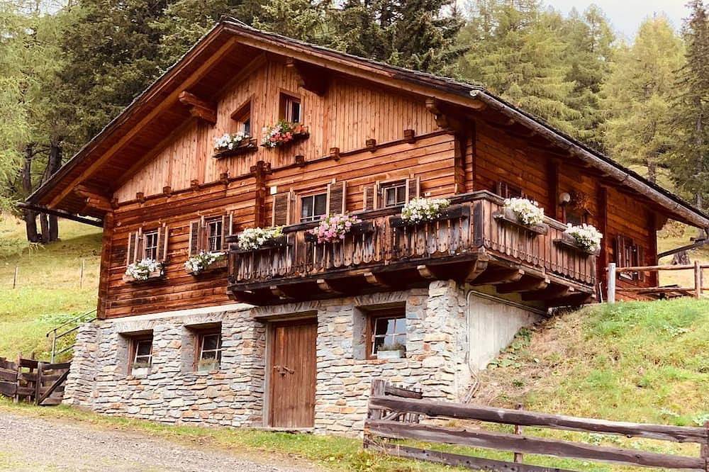 Gipper, Almhütte - Hütte mit 4 Schlafräumen/ Dusche, Wc in Heiligenblut, Bezirk Spittal an der Drau