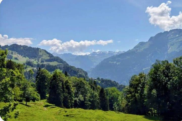 Chalet für 8 Personen, mit Haustier - 1