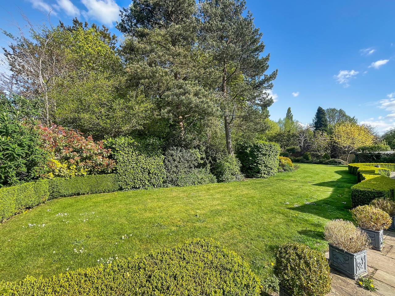 Broadlea in Sherwood Forest, Nottinghamshire