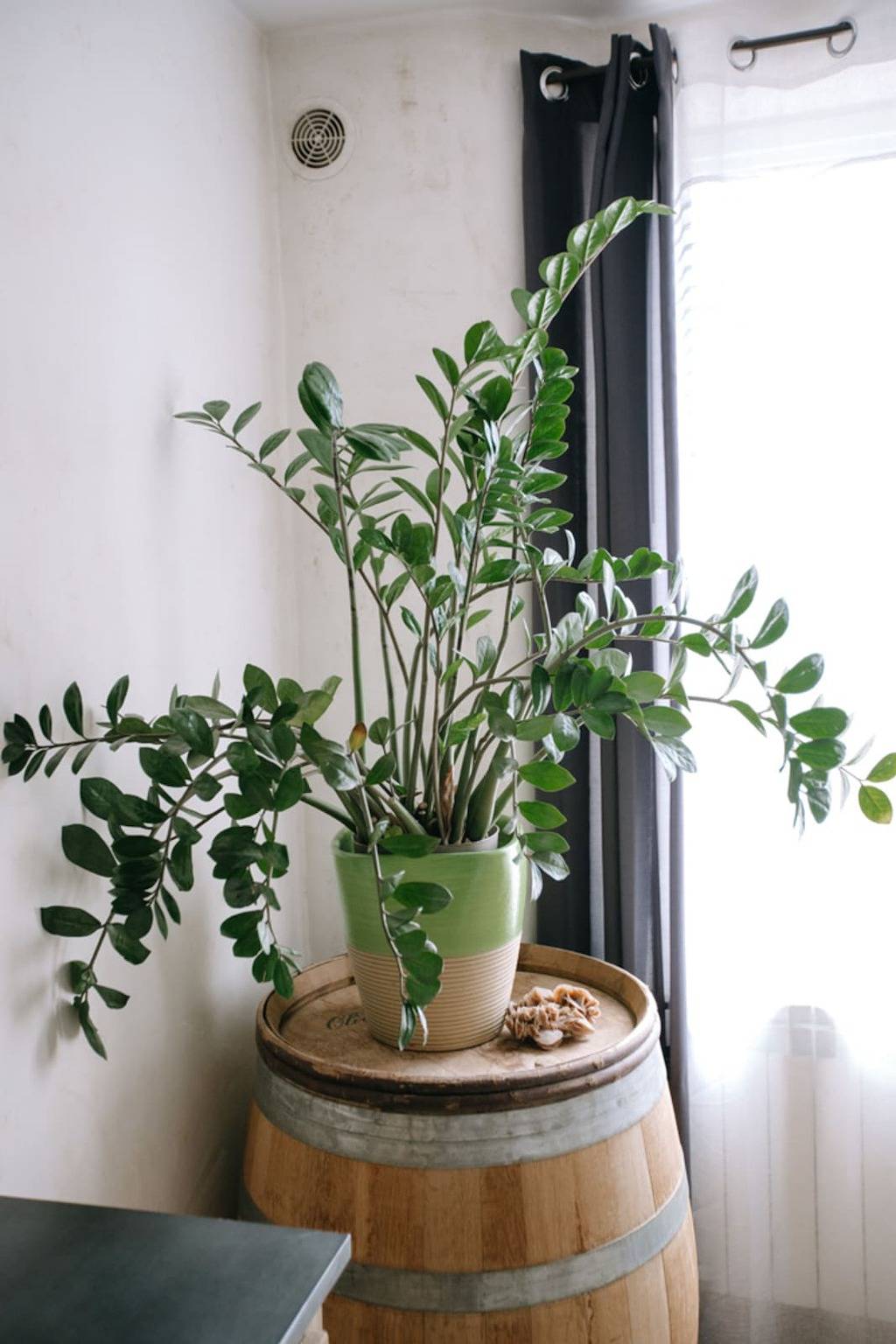 Charming Village House in the Heart of Isle-sur-la-Sorgue in L'Isle-sur-la-Sorgue, Vaucluse