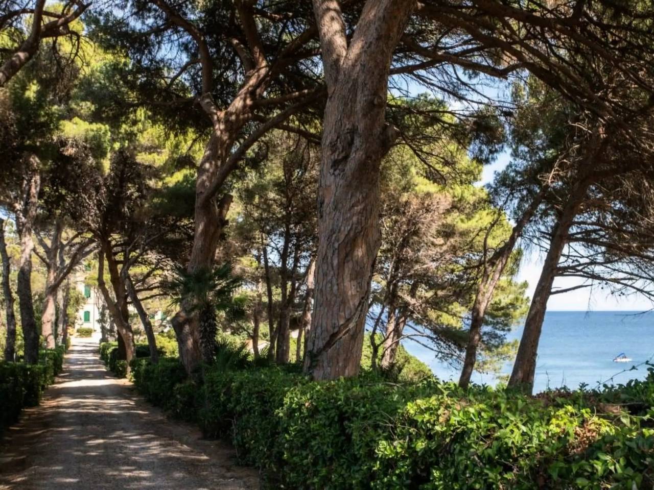 Appartement entier, 5 Pièces 6 Personnes in Cavo, Ile d'Elbe