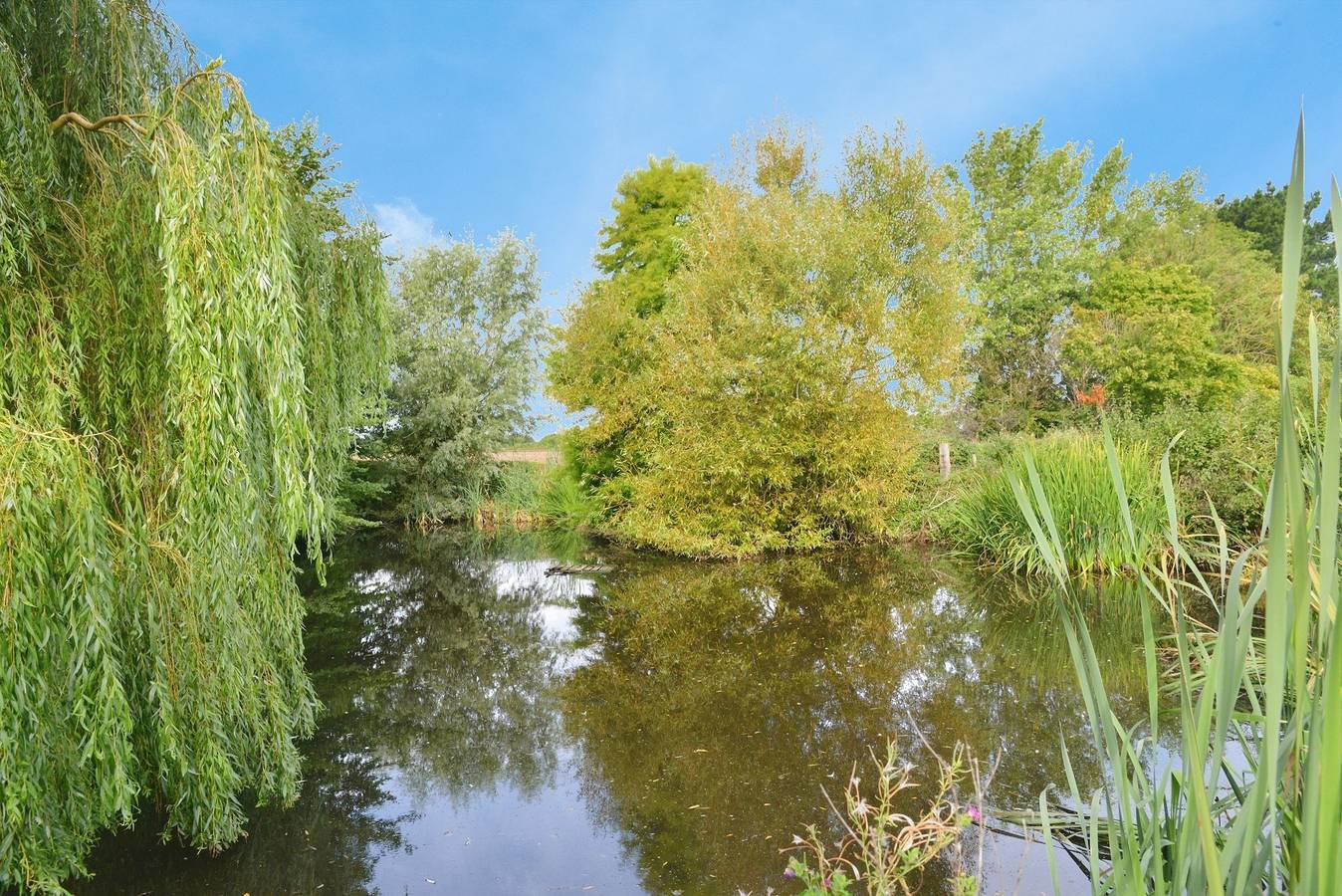 Bungalow für 4 Personen mit Garten in Calbourne, Isle of Wight