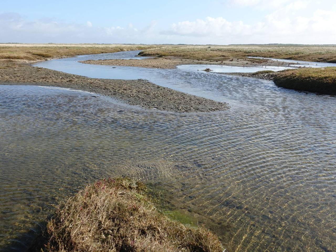 Luxurioses Refugium mit Pool -- By Traum Ferienwohnungen in Toftum, Rømø