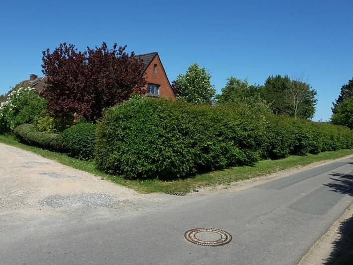 Ganze Ferienwohnung, Hook - Ferienwohnung Hook - mit Südterrasse, sehr ruhige Lage in Nordfriesische Inseln (Schleswig-Holstein) (Schleswig-Holstein), Midlum