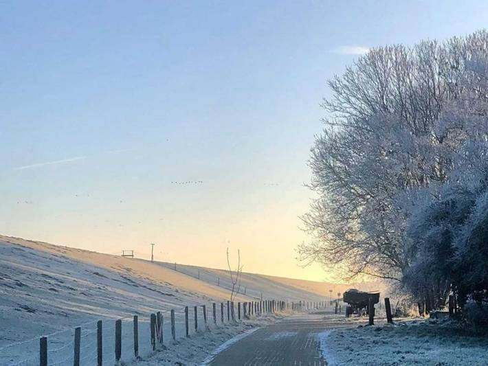 Ferienhaus für 4 Personen, mit Terrasse und Garten, mit Haustier an der Nordsee - 2