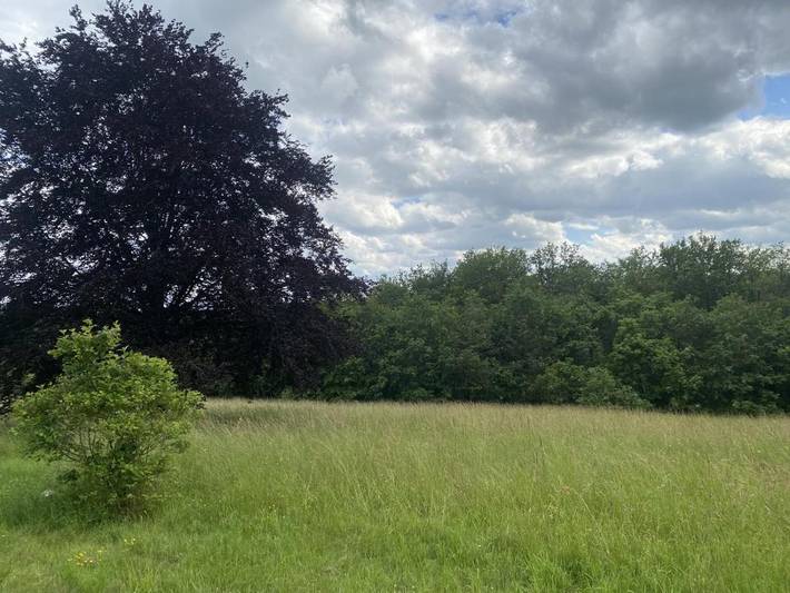 Location de vacances pour 6 personnes, avec jardin et vue dans Lac de Chaumeçon - 3
