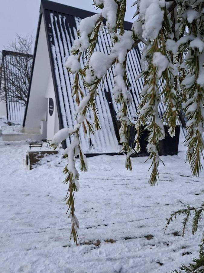 Chalé Acolhedor - Penhas da Saúde - Serra da Estrela in Cortes do Meio, Serra da Estrela