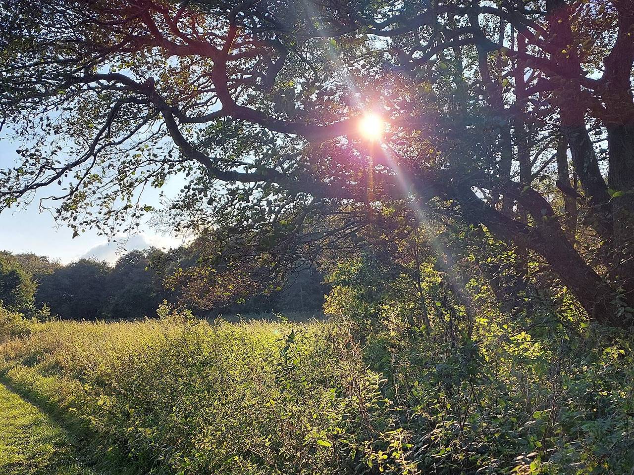 Ruhiger Hüttenurlaub in Ebeltoft in Fuglslev, Ebeltoft