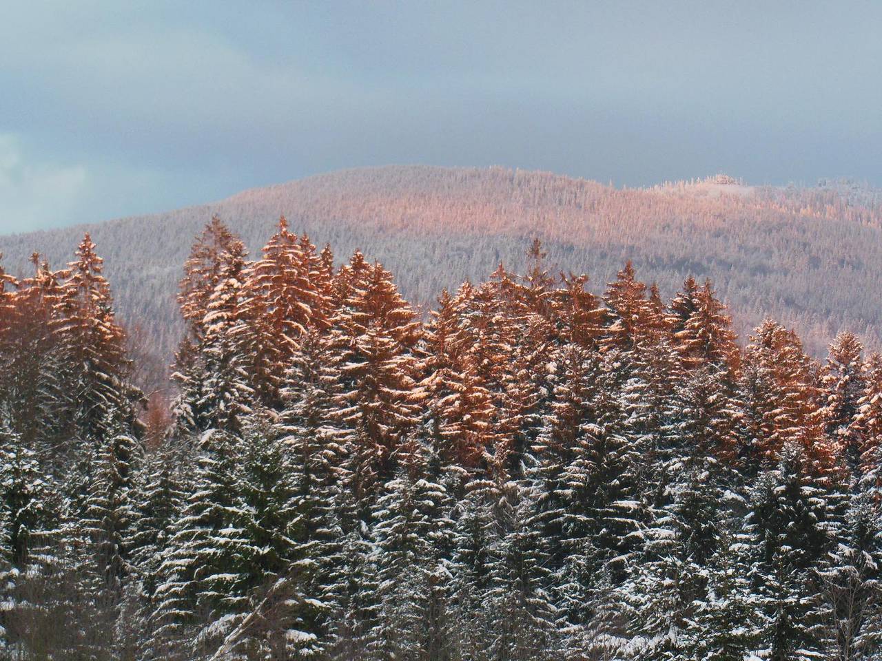 Casa de férias para 4 pessoas com jardim in Neureichenau, Šumava Mountains