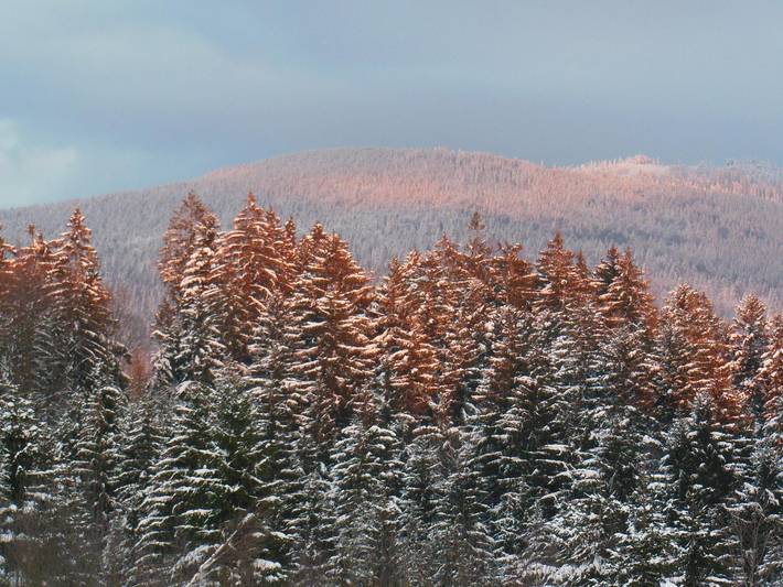 Apartamento inteiro, Haus Spannbauer - Ferienwohnung in Neureichenau, Šumava Mountains