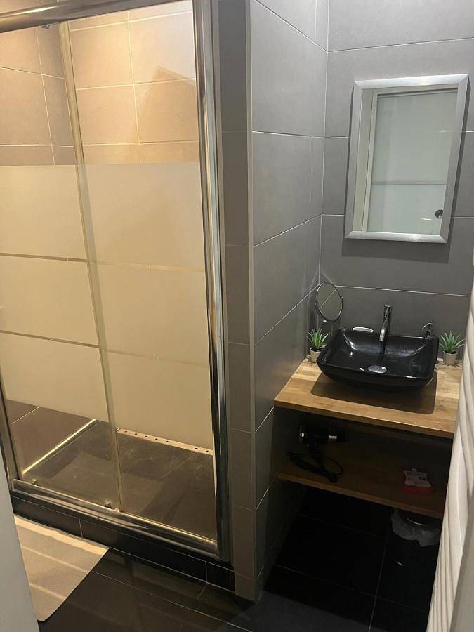 Gîte pour 2 personnes, animaux acceptés à Lormont - 4