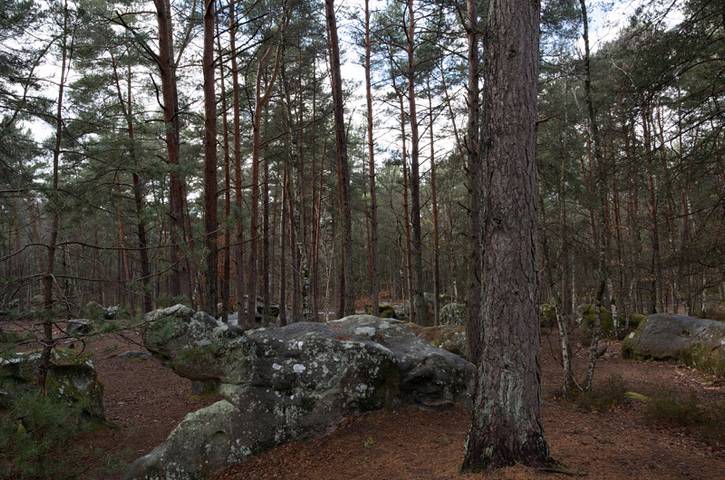 Gîte pour 4 personnes à Noisy-sur-École - 2