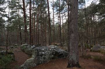 Gîte pour 4 Personnes dans Noisy-sur-École, Seine-et-Marne, Photo 1